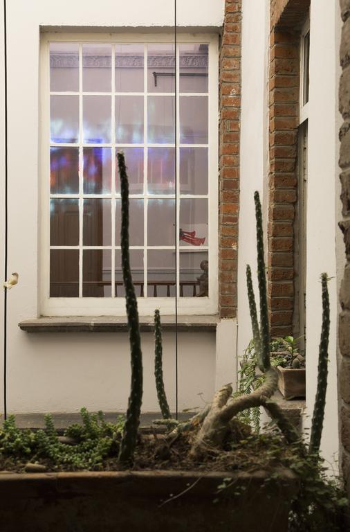 El Patio 77 B&B Мехико Экстерьер фото